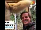 Cette ile est peuplée de loups qui adorent les humains