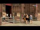 Comment la cathédrale de Strasbourg se protège-t-elle des incendies et des intrusions ?