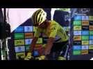 Tour de France 2020 - Julian Alaphilippe : 