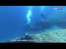 Recensement de la faune sous-marine dans les Calanques de Marseille