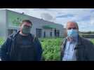 La nouvelle légumerie de Saint-Martin-lez-Tatinghem veut produire 600t de légumes par an