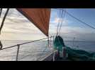 Balade matinale à bord du voilier Mondara Mad