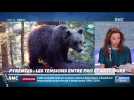 Objectif Terre : Les tensions entre pro et anti-ours dans les Pyrénées - 04/08