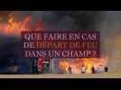 Incendies de champs: que faire pour limiter les dégâts ?