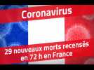 Coronavirus : 29 nouveaux morts recensés en 72 h en France