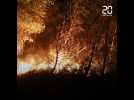Martigues: Un violent incendie ravage plus de 1.000 hectares de végétation