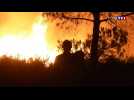 Feu de forêt : une nuit d'enfer à Martigues