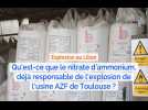 Explosion au Liban : qu'est-ce que le nitrate d'ammonium déjà responsable de l'explosion d'AZF de Toulouse ?