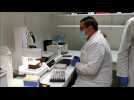 L'analyse PCR d'un test Covid-19