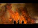Californie : les pompiers à la peine face à un énorme feu de forêt
