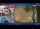 Incendie à Vitrolles : 200 pompiers toujours mobilisés