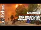 De gigantesques incendies frappent la Californie