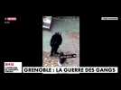 Grenoble : des dealers se filment lourdement armés dans un jardin pour enfants (Vidéo)