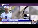 Dealers: l'État impuissant ? - 27/08
