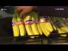La banane, miraculée de la crise sanitaire