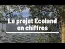 Découvrez le projet Ecoland à Palluel en chiffres