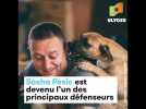 Ce Serbe vit avec 750 chiens abandonnés