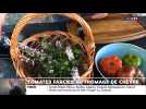 Tomates farcies au fromage de chèvre assaisonnées de fleurs aromatiques