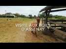 La plus douce des visites aux Poils d'Assenay