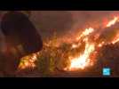 Incendies au Portugal : état d'alerte dans le centre du pays