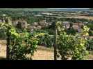 Une vue sur les vignes et la route du champagne depuis le mont Bonneil dans le sud de l'Aisne