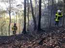 Les pompiers luttent contre un feu de forêt à Laifour