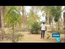 Au Sénégal, Goran N'diaye, pionnier de l'agroécologie, fait pousser un potager dans le désert