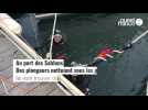 Saint-Malo. Opération grand nettoyage: des mégots par milliers...