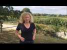 Avesnois : les agricultrices ont leur calendrier