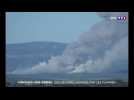 Conques-sur-Orbiel : 200 hectares ravagés par les flammes