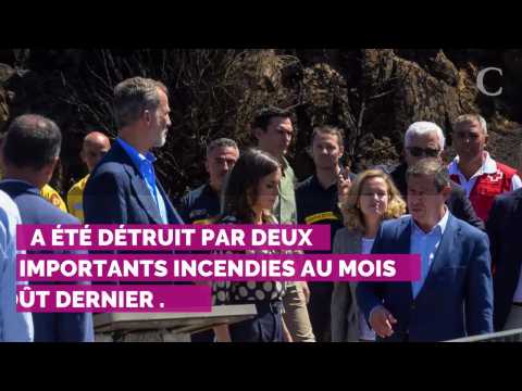 VIDEO : PHOTOS. La reine Letizia d'Espagne fait une rare sortie sans escarpins