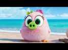 Angry Birds : Copains comme Cochons - Extrait 