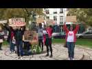 Manifestation contre la violence faites aux femmes Lille
