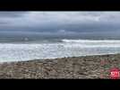 Haute-Corse : les conditions météorologiques font le bonheur des surfeurs