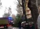 Marseille : chute d'un arbre avenue de la Corse, la circulation bloquée dans les deux sens
