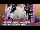 Céline Dion aux Vieilles Charrues : Les billets se sont vendus en 9 minutes