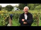 Jour de vendanges dans l'Orne