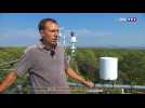 Innovation : la technologie au secours de la forêt