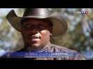Élections américaines : TF1 descend le Mississipi à la rencontre de l'Amérique des cow-boys