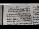 Comment Beethoven est devenu sourd: démonstration avec un simulateur
