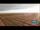 États-Unis : l'agriculture met l'Arizona à sec