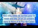 Les 5 sorties du week-end des 24 et 25 octobre dans le Nord et le Pas-de-Calais