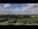 Découverte : l'Anjou vu du ciel