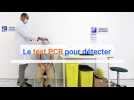 Le Parcours d'un test PCR