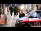 Attentat de Vienne : à ce stade, pas de preuve d'un deuxième tueur (ministre)