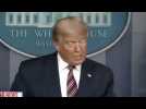 Présidentielle américaine : l'allocution de Donald Trump coupée par des chaînes de télévision (vidéo)
