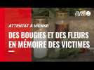 Attentat à Vienne. Des bougies et des fleurs en mémoire des victimes