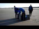 Blankenberge: deux phoques retrouvent la liberté