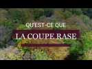 Qu'est-ce que la coupe rase en forêt ?