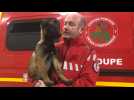 Raï-ly, la nouvelle recrue des pompiers a du flair